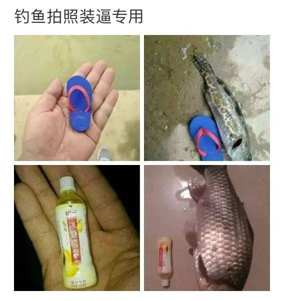 中國男人分兩種 釣魚的和不釣魚的