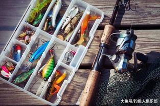 兇狠殘暴狡詐無(wú)比的狗魚(yú),竟是世界上最長(zhǎng)壽的魚(yú),太沒(méi)天理了