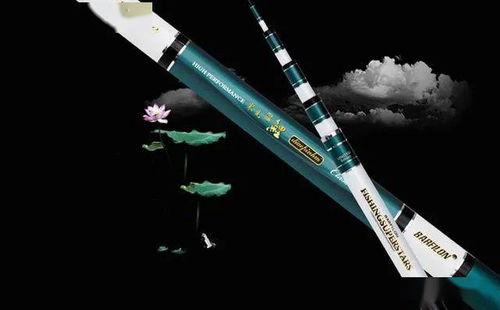 2020年,釣魚竿十大排行榜,你用的是哪一款